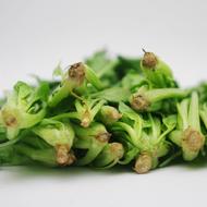 蔬菜名稱:【燎原特惠】新鮮菠菜綠色種植綠色無公害蔬菜新鮮青菜順豐